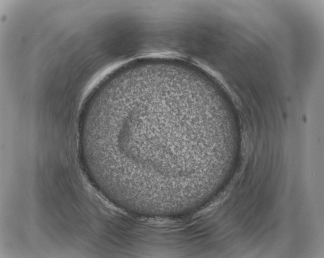 X0000086111319200704202256