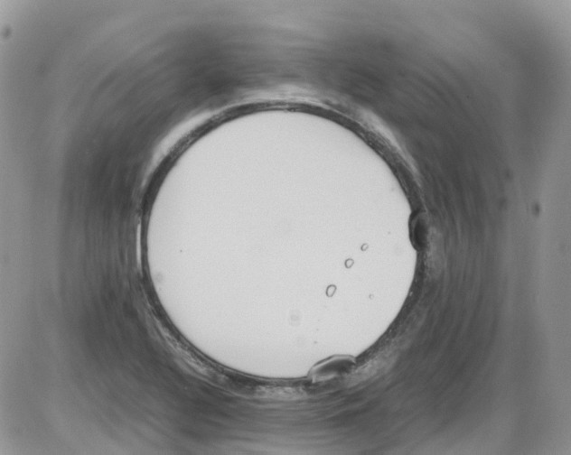 X0000086111320200704202256