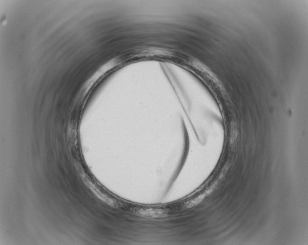 X0000086111321200704202256