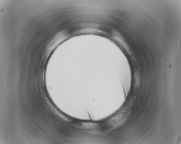 X0000086111322200704202256