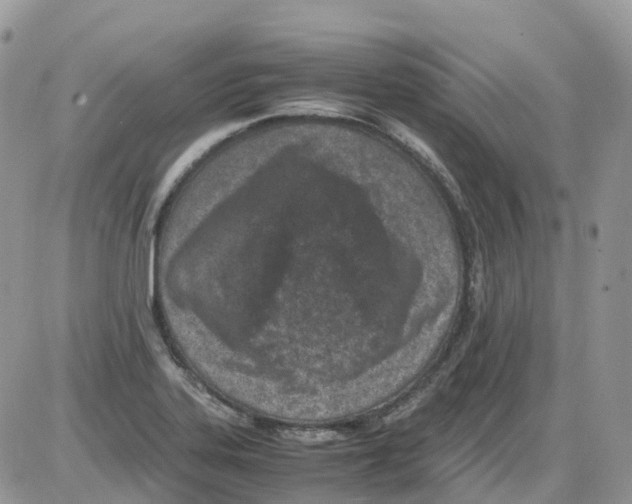 X0000086111323200704202256