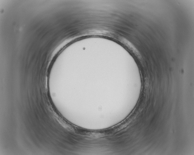 X0000086111324200704202256