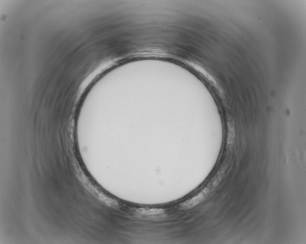 X0000086111325200704202256