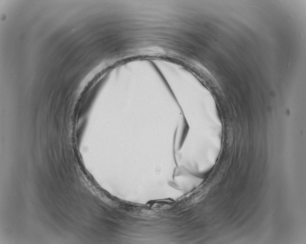 X0000086111326200704202256