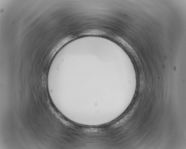 X0000086111329200704202256