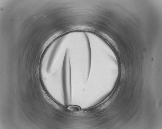 X0000086111330200704202256