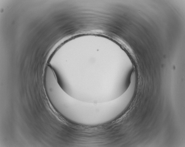 X0000086111332200704202256