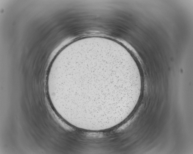 X0000086111333200704202256