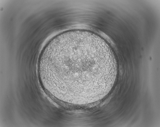 X0000086111334200704202256