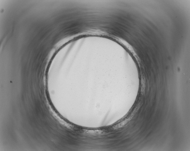 X0000086111335200704202256