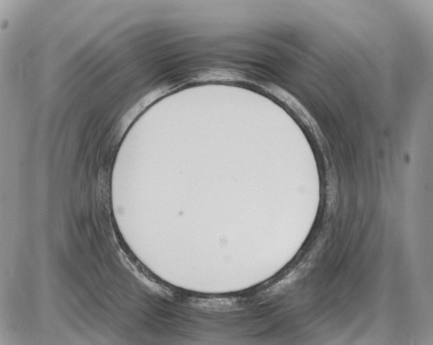 X0000086111337200704202256