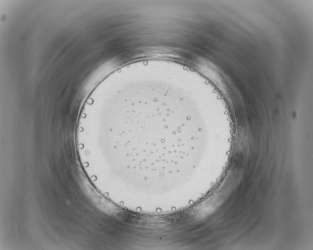 X0000086111338200704202256