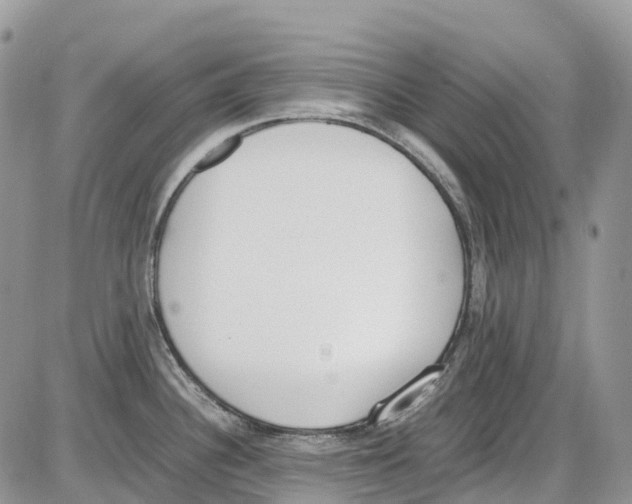 X0000086111340200704202256