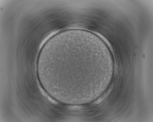 X0000086111341200704202256