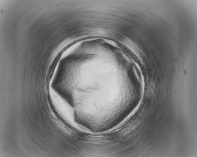 X0000086111342200704202256