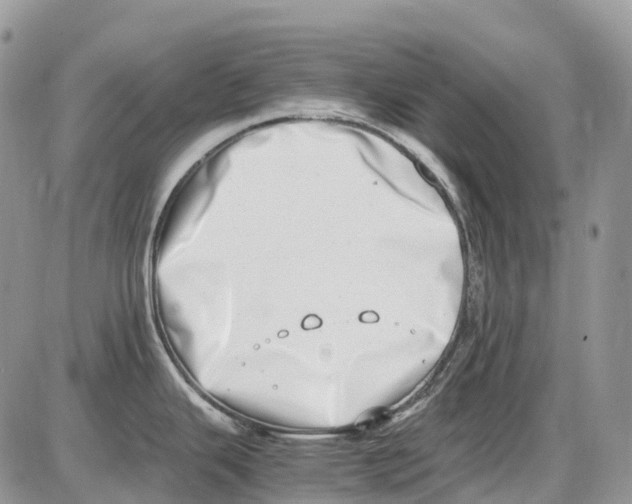 X0000086111343200704202256