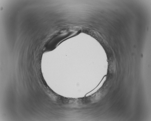 X0000086111345200704202256