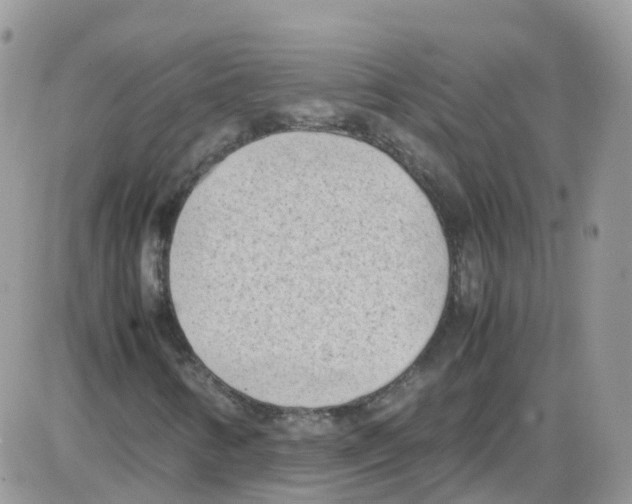 X0000086111346200704202255