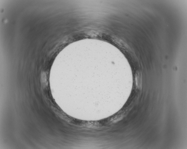 X0000086111347200704202255