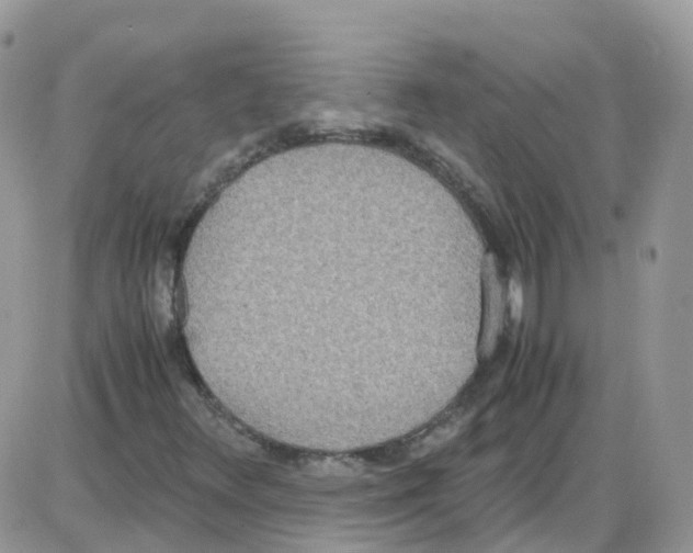 X0000086111348200704202255