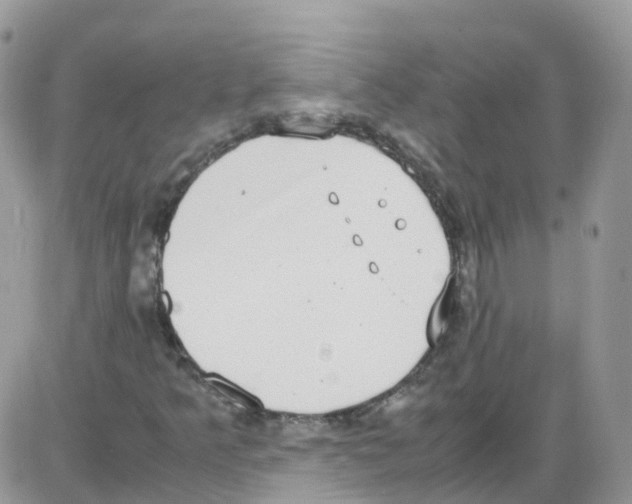 X0000086111349200704202255