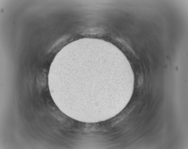 X0000086111350200704202255