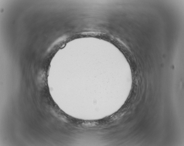 X0000086111351200704202255