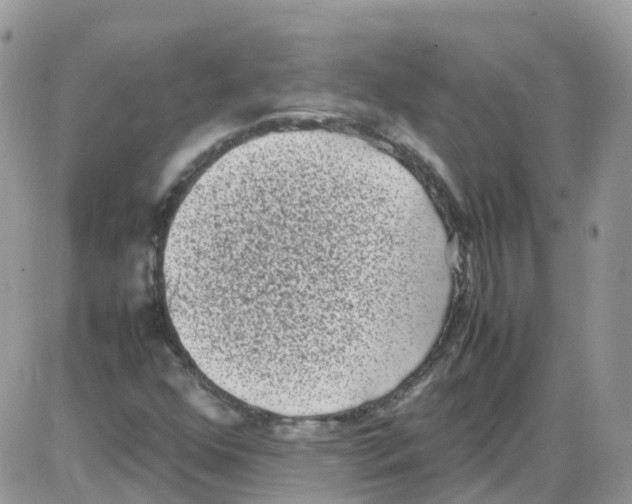 X0000086111352200704202255