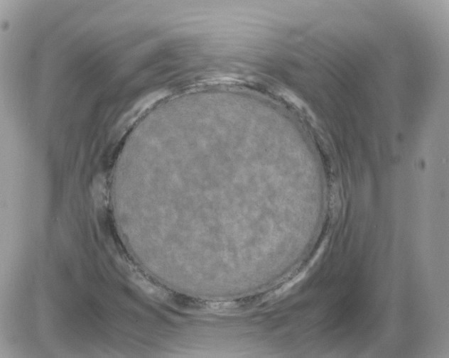 X0000086111353200704202255