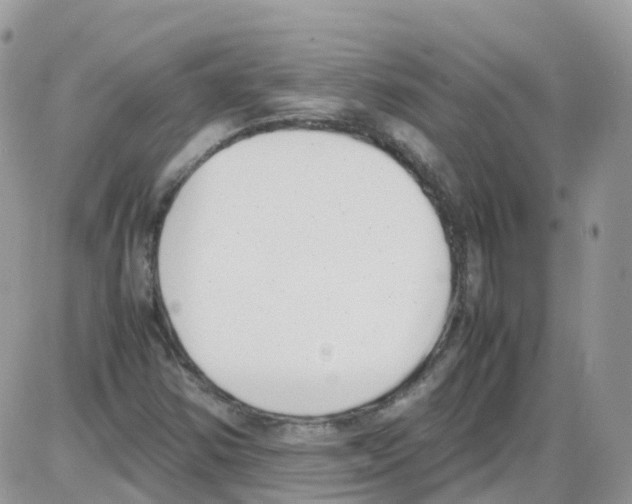 X0000086111354200704202255