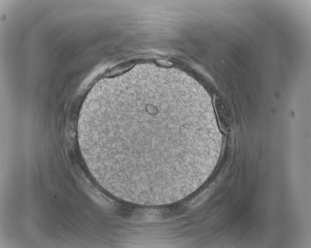 X0000086111355200704202255