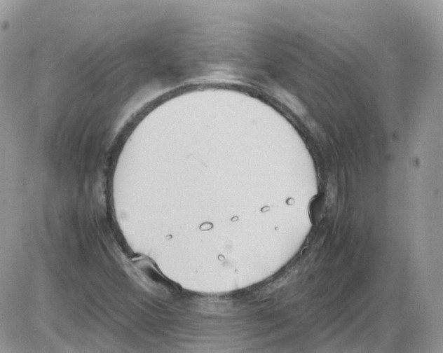 X0000086111356200704202255