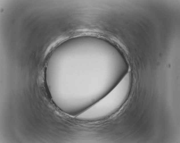 X0000086111357200704202255