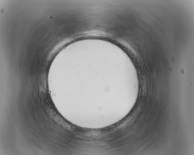 X0000086111358200704202255