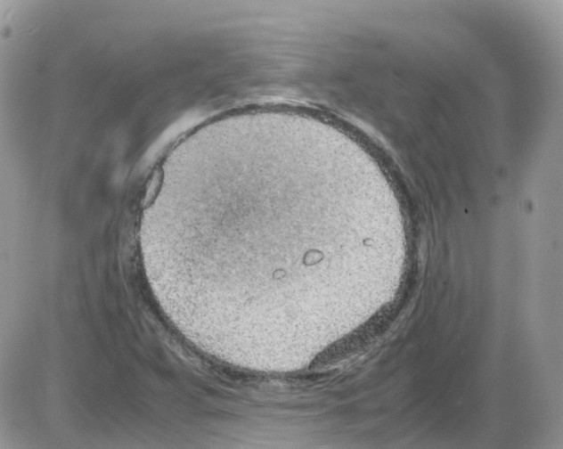 X0000086111359200704202255