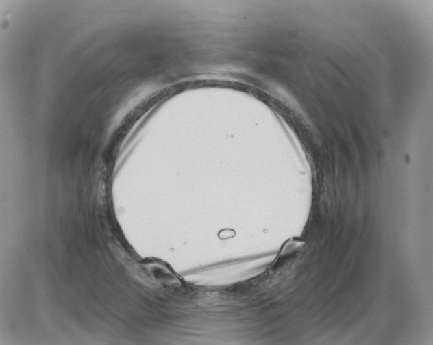 X0000086111360200704202255