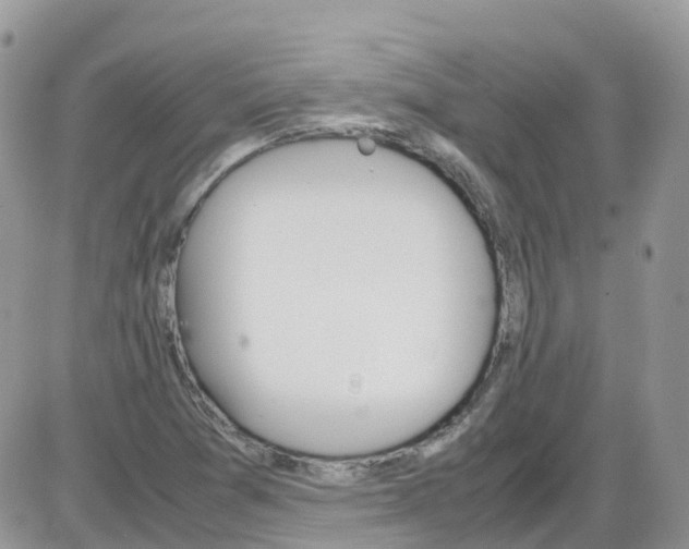 X0000086111361200704202255