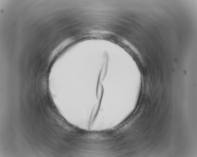 X0000086111362200704202255