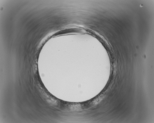 X0000086111363200704202255