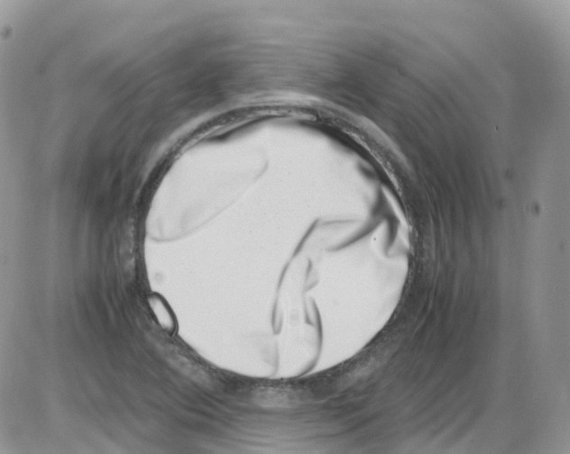 X0000086111364200704202255