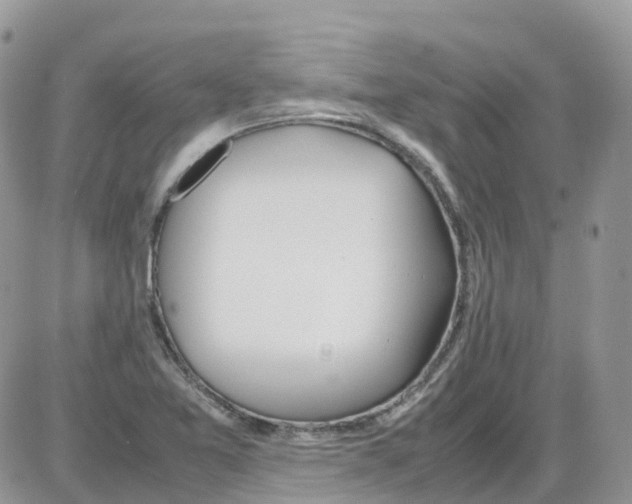 X0000086111365200704202255