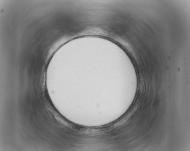 X0000086111366200704202255