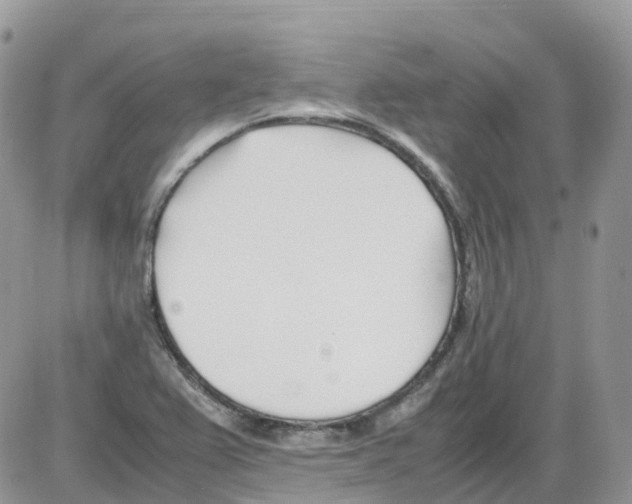 X0000086111367200704202255