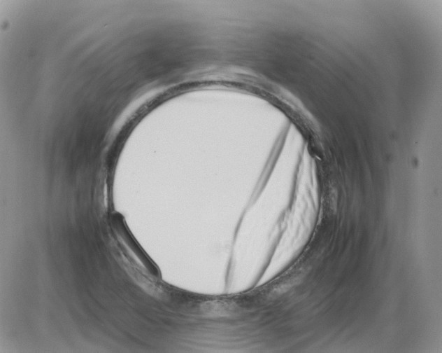 X0000086111368200704202255