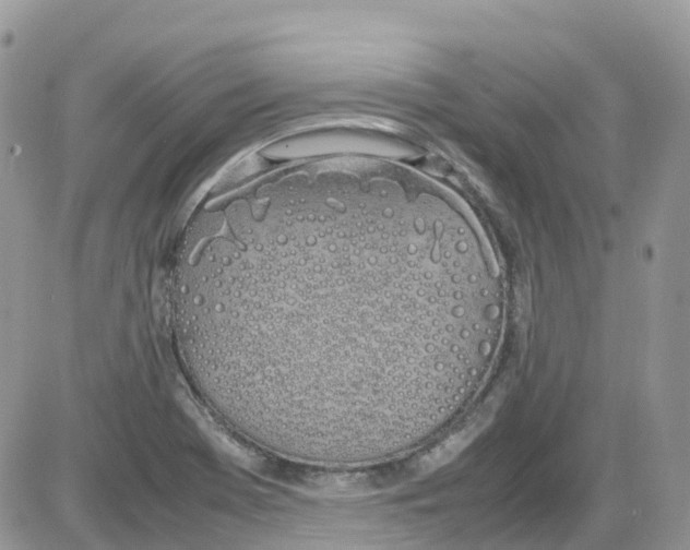 X0000086111369200704202255