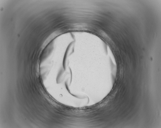 X0000086111370200704202255