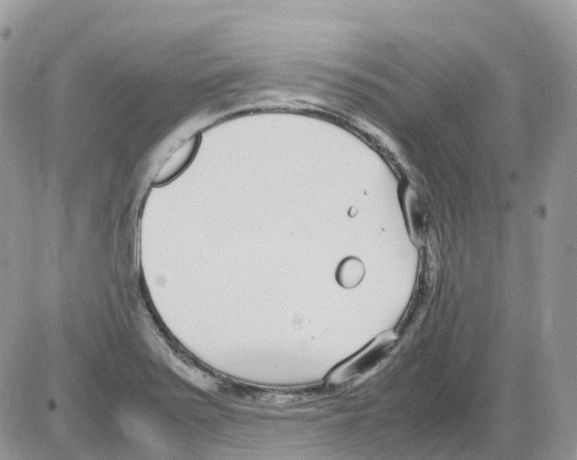 X0000086111371200704202255