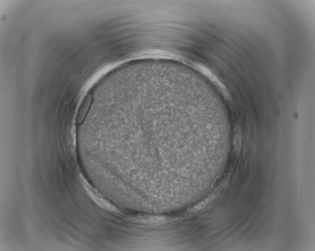 X0000086111372200704202255