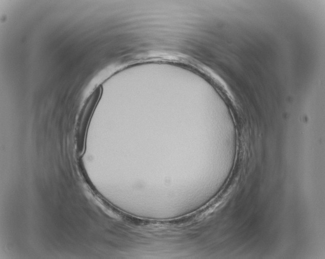 X0000086111373200704202255