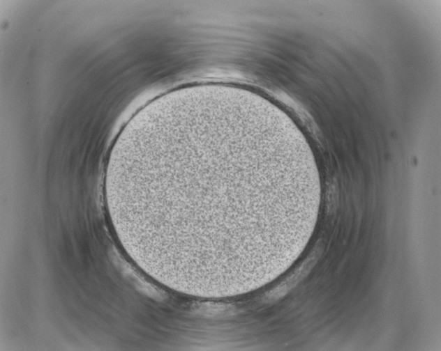 X0000086111374200704202255